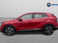 Used Kia Sportage 209 HP (153 kW) 2024 SUV