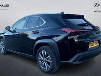 Used Lexus UX 150 kW (204 HP) 2024 SUV