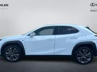 Used Lexus UX Sport Design Packet 184 HP (135 kW) 2023 White SUV