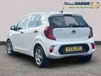 Used Kia Picanto 66 HP (48 kW) 2021 White Hatchback
