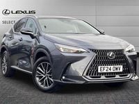 Used Lexus NX350h 245 HP (180 kW) 2024 Grey SUV