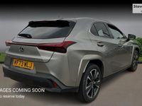 Used Lexus UX 250h 184 HP (135 kW) 2024 SUV