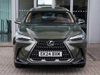 Used Lexus NX450h+ 301 HP (221 kW) 2024 Green SUV