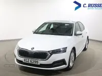 Used Skoda Octavia SE 150 HP (110 kW) 2022 White Hatchback