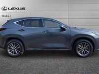 Used Lexus NX350h 243 HP (178 kW) 2025 Sonic grey SUV