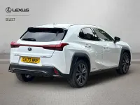Used Lexus UX 250h Sport Line 2020 White SUV