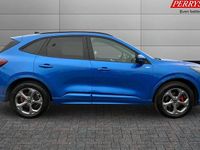 Used Ford Kuga ST-Line 242 HP (177 kW) 2025 SUV