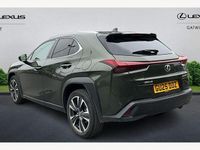 Used Lexus UX 300h 199 HP (146 kW) 2026 SUV