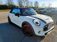 Used Mini Cooper S Cabriolet Classic 192 HP (141 kW) 2020 White Cabriolet