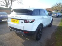 Used Land Rover Range Rover evoque Pure 2014 White SUV