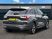 Used Ford Kuga ST-Line 2023 Grey SUV