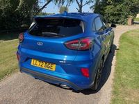 Used Ford Puma ST-Line X 125 HP (91 kW) 2022 Blue SUV