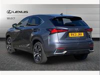 Used Lexus NX300h 197 HP (144 kW) 2021 Grey SUV