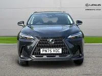Used Lexus NX350h 240 HP (176 kW) 2025 Black SUV