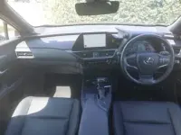 Used Lexus UX 250h Sport Design Packet 184 HP (135 kW) 2023 Green SUV
