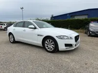 Used Jaguar XF Prestige 2016 White Sedan