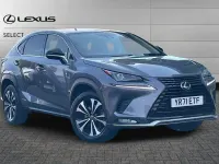 Used Lexus NX300h 194 HP (142 kW) 2021 Mercury grey SUV