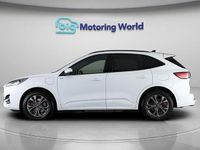 Used Ford Kuga ST-Line 225 HP (165 kW) 2021 White SUV