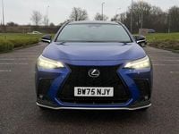 New Lexus NX450h+ Sport Line 2026 SUV
