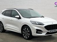 Used Ford Kuga ST-Line X 225 HP (165 kW) 2023 White SUV