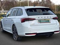 Used Skoda Octavia 2025 Estate