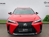 Used Lexus UX 250h Sport Design Packet 184 HP (135 kW) 2023 Red SUV