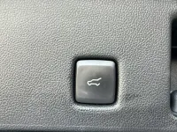 Used Ford Kuga ST-Line X 120 HP (88 kW) 2022 Blue SUV