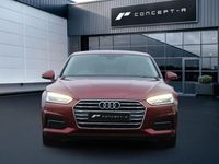 Used Audi A5 Sport 2017 Red Coupe