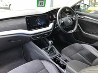 used Skoda Octavia Hatchback 1.5 TSI SE L First Ed ACT(150PS)