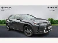 Used Lexus UX 2025 Grey SUV