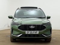 Used Ford Kuga ST-Line X 243 HP (178 kW) 2025 Green SUV