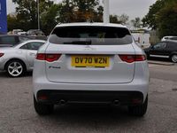 Used Jaguar F-Pace Chequered Flag 240 HP (176 kW) 2020 White SUV