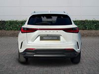 Used Lexus NX350h 2023 White Estate