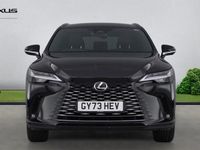 Usado Lexus RX350h 250 CV (183 kW) 2025 Familiar
