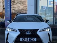 Used Lexus UX 250h 184 HP (135 kW) 2019 White SUV