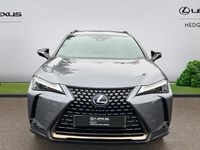Used Lexus UX 250h 184 HP (135 kW) 2024 SUV