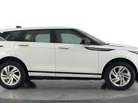 Used Land Rover Range Rover evoque R-Dynamic 309 HP (227 kW) 2023 SUV