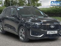 Used Ford Kuga ST-Line 179 HP (131 kW) 2026 SUV