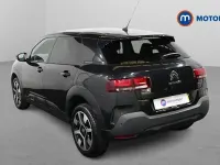 Used Citroën C4 Cactus Flair 110 HP (80 kW) 2020 Hatchback