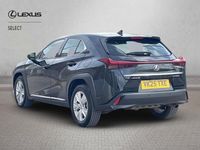 Used Lexus UX 300h 2025 Black SUV
