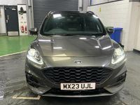 Used Ford Kuga ST-Line X 150 HP (110 kW) 2023 Grey SUV