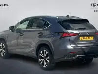 Used Lexus NX300h Sport Line 197 HP (144 kW) 2017 Grey SUV