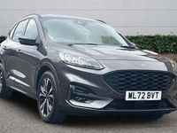 Used Ford Kuga ST-Line X 150 HP (110 kW) 2023 SUV