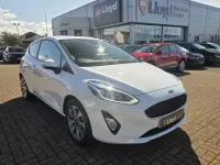 Used Ford Fiesta Trend 74 HP (54 kW) 2020 White Hatchback