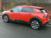 Used Citroën C4 Cactus Flair 110 HP (80 kW) 2019 Red Hatchback