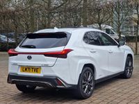 Used Lexus UX 250h Sport Line 2022 White SUV