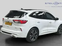 Used Ford Kuga ST-Line X 187 HP (137 kW) 2023 White SUV