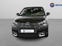 Used Citroën C4 Cactus Flair 110 HP (80 kW) 2020 Hatchback