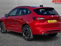 Used Ford Kuga ST-Line X 242 HP (177 kW) 2025 SUV