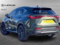 Used Lexus NX350h 245 HP (180 kW) 2023 Green SUV